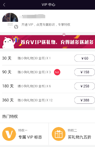 汉江小猫cha